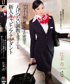 TEAM-090 フライト後に呼びだされ密室でえげつない調教を受けている新人キャビンアテンダント 辻本杏