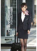 IPZ-522 監禁され犯された美人キャビンアテンダント 希志あいの