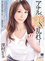 RBD-359 アナル、咲き乱れて… 澤村レイコ
