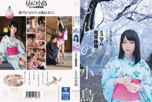 MUM-316 目の前に現れた小さな小鳥。ミニマム電撃移籍。 もりの小鳥 - 画像 (3)
