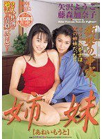 PDV-113 復刻 姉妹 【あねいもうと】 矢沢ようこ 藤森加奈子