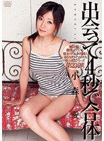 DV-1370 出会って4秒で合体 小森愛