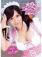 DV-1378 メイドdeニャンニャン 小島みなみ