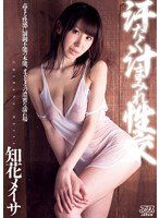 DV-1455 汗だく汁まみれ性交 知花メイサ