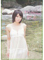 STAR-392 ECLOSION 開花～性に臆病な23歳のAV DEBUT～ 桐嶋あおい