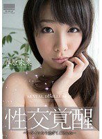 HODV-20837 性交覚醒 ヘンタイになり過ぎてごめんね… 春原未来